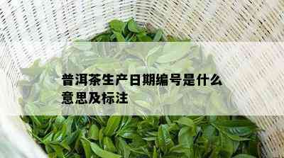 普洱茶生产日期编号是什么意思及标注