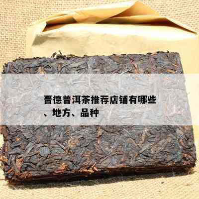 晋德普洱茶推荐店铺有哪些、地方、品种