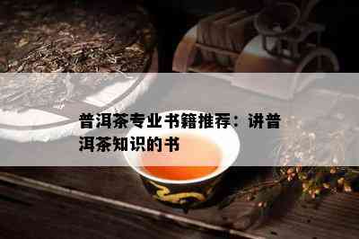 普洱茶专业书籍推荐：讲普洱茶知识的书