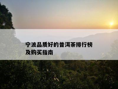 宁波品质好的普洱茶排行榜及购买指南