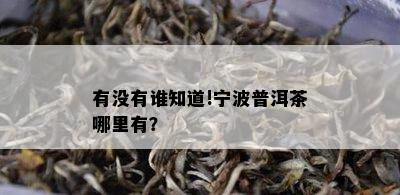 有没有谁知道!宁波普洱茶哪里有？