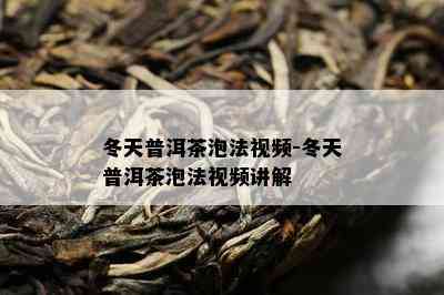 冬天普洱茶泡法视频-冬天普洱茶泡法视频讲解