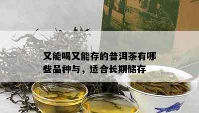 又能喝又能存的普洱茶有哪些品种与，适合长期储存