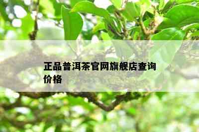 正品普洱茶官网旗舰店查询价格