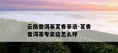 云南普洱茶茗香茶语-茗香普洱茶专卖店怎么样