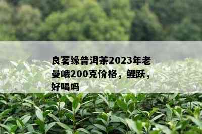 良茗缘普洱茶2023年老曼峨200克价格，鲤跃，好喝吗