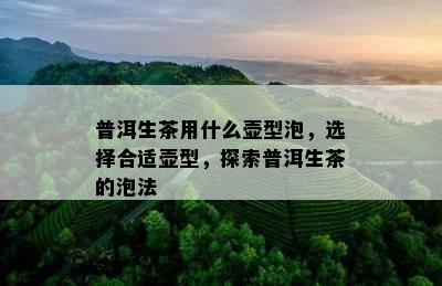 普洱生茶用什么壶型泡，选择合适壶型，探索普洱生茶的泡法