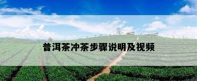 普洱茶冲茶步骤说明及视频