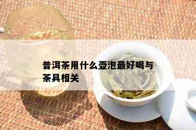 普洱茶用什么壶泡更好喝与茶具相关