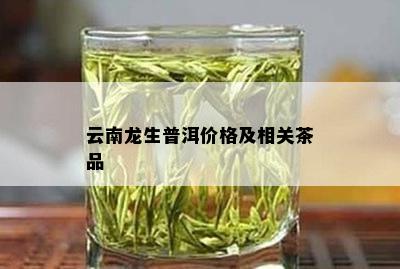 云南龙生普洱价格及相关茶品