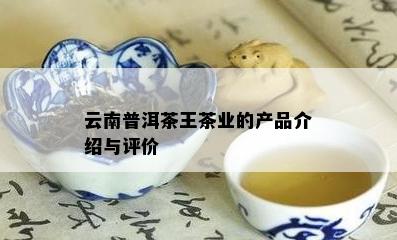 云南普洱茶王茶业的产品介绍与评价