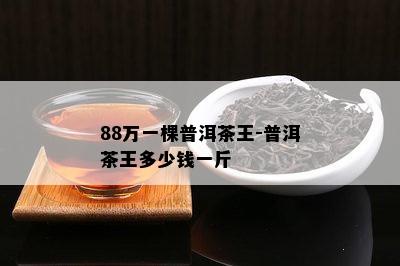 88万一棵普洱茶王-普洱茶王多少钱一斤