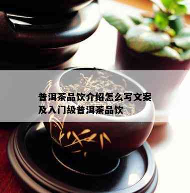 普洱茶品饮介绍怎么写文案及入门级普洱茶品饮