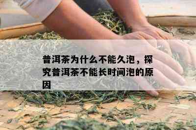 普洱茶为什么不能久泡，探究普洱茶不能长时间泡的原因