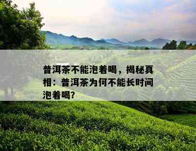 普洱茶不能泡着喝，揭秘真相：普洱茶为何不能长时间泡着喝？