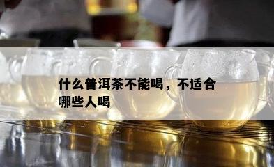 什么普洱茶不能喝，不适合哪些人喝