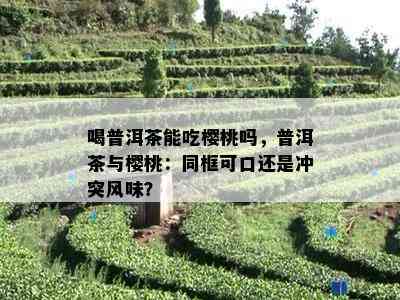 喝普洱茶能吃樱桃吗，普洱茶与樱桃：同框可口还是冲突风味？