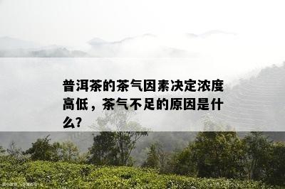 普洱茶的茶气因素决定浓度高低，茶气不足的原因是什么？