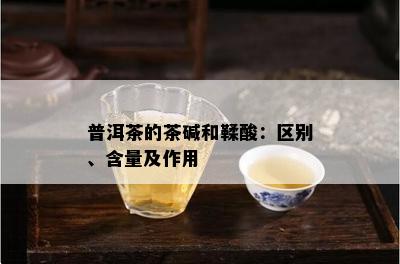 普洱茶的茶碱和鞣酸：区别、含量及作用