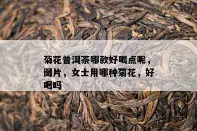 菊花普洱茶哪款好喝点呢，图片，女士用哪种菊花，好喝吗