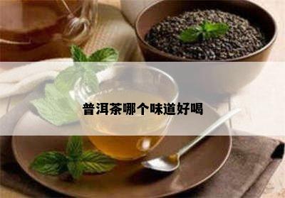 普洱茶哪个味道好喝