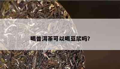 喝普洱茶可以喝豆浆吗？