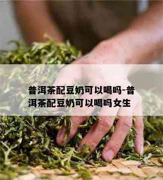 普洱茶配豆奶可以喝吗-普洱茶配豆奶可以喝吗女生