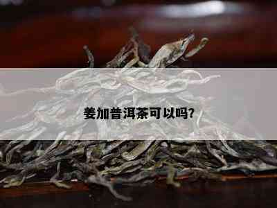 姜加普洱茶可以吗？