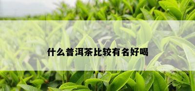 什么普洱茶比较有名好喝