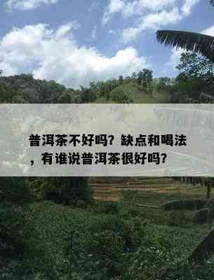 普洱茶不好吗？缺点和喝法，有谁说普洱茶很好吗？