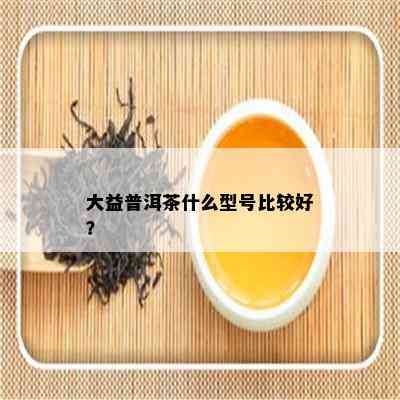 大益普洱茶什么型号比较好？