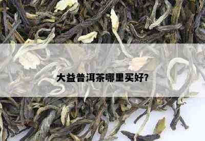 大益普洱茶哪里买好？