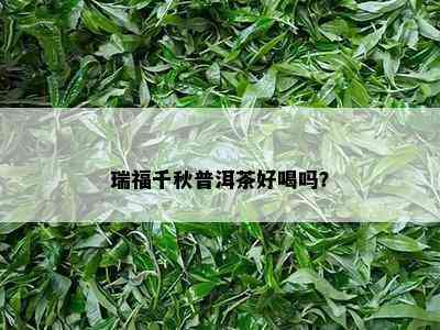 瑞福千秋普洱茶好喝吗？