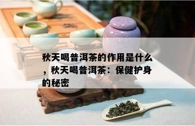 秋天喝普洱茶的作用是什么，秋天喝普洱茶：保健护身的秘密