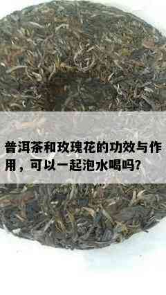 普洱茶和玫瑰花的功效与作用，可以一起泡水喝吗？