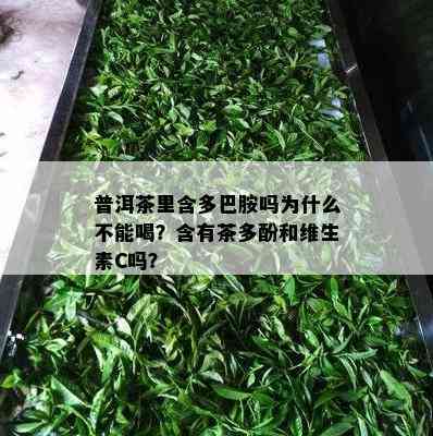 普洱茶里含多巴胺吗为什么不能喝？含有茶多酚和维生素C吗？