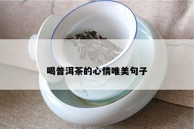 喝普洱茶的心情唯美句子