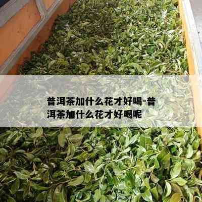 普洱茶加什么花才好喝-普洱茶加什么花才好喝呢