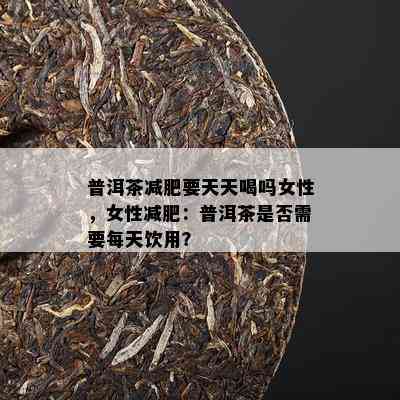 普洱茶减肥要天天喝吗女性，女性减肥：普洱茶是否需要每天饮用？