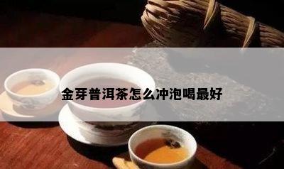 金芽普洱茶怎么冲泡喝更好