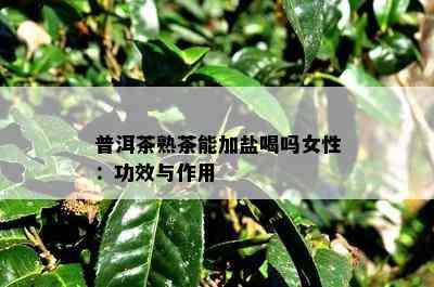 普洱茶熟茶能加盐喝吗女性：功效与作用