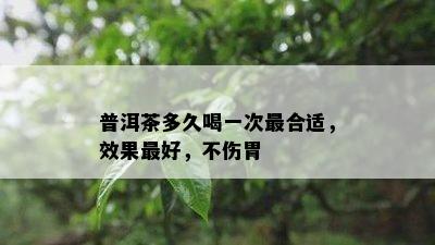 普洱茶多久喝一次最合适，效果更好，不伤胃