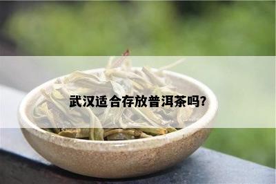 武汉适合存放普洱茶吗？