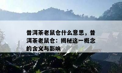 普洱茶老鼠仓什么意思，普洱茶老鼠仓：揭秘这一概念的含义与影响