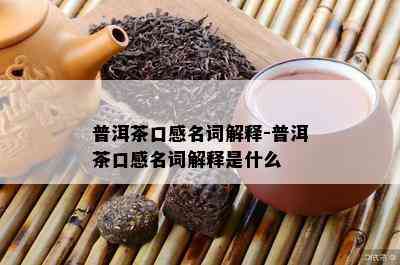 普洱茶口感名词解释-普洱茶口感名词解释是什么