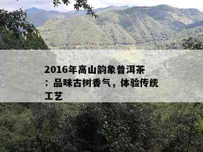 2016年高山韵象普洱茶：品味古树香气，体验传统工艺