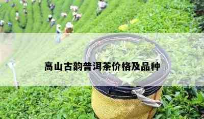 高山古韵普洱茶价格及品种