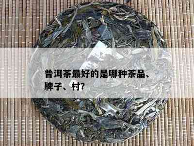 普洱茶更好的是哪种茶品、牌子、村？