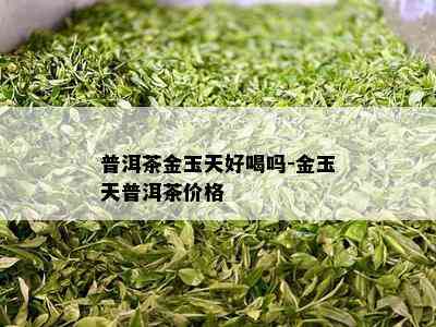 普洱茶金玉天好喝吗-金玉天普洱茶价格