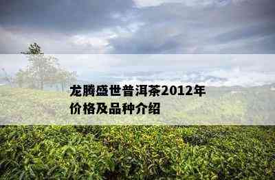 龙腾盛世普洱茶2012年价格及品种介绍